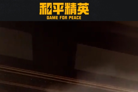 和平精英