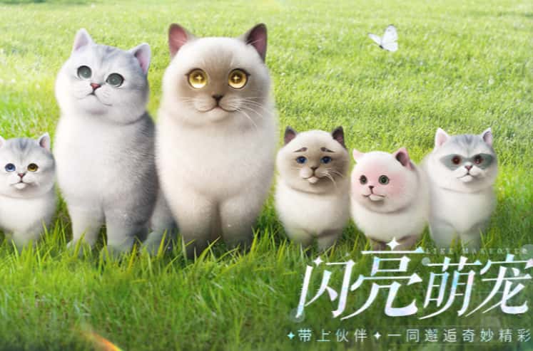 以闪亮之名游戏实机截图4